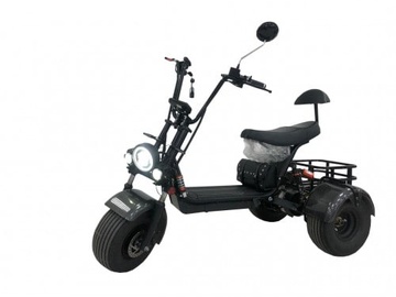 Citycoco Trike X5 Mini